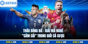 Thầu Bóng Đá Bet88 – Giải Mã Nghề “Cầm Cái” Trong Giới Cá Cược